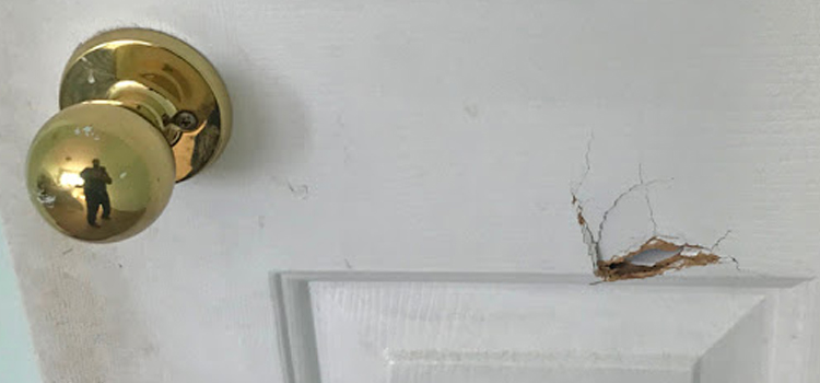 interior door hole repair Lehigh Acres