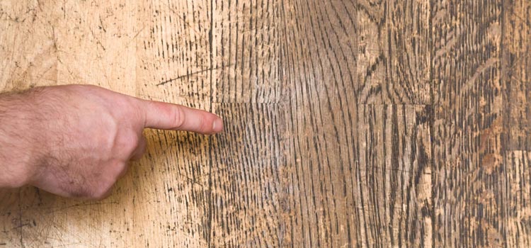 Wood Door Scratch Repair in Lehigh Acres